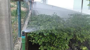 Sistema-de-irrigação-para-gramado-e-arbustos-5